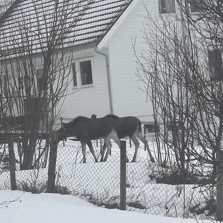 Big With Free Parking